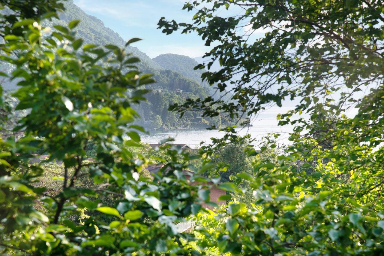 Il Sole Di Calde Lago Maggiore 504 Castelveccana Exterior foto